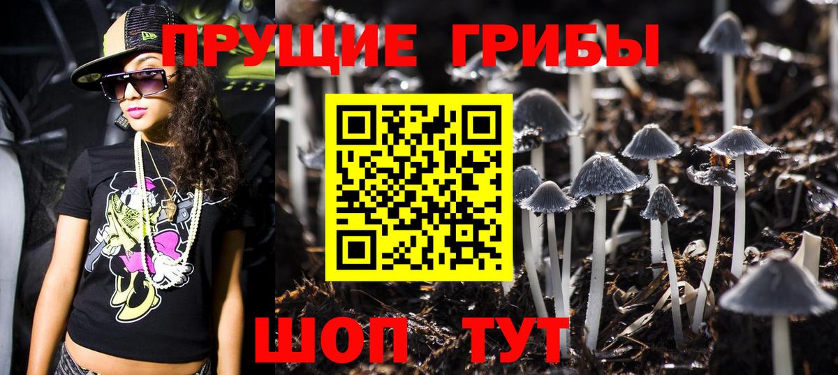 Галлюциногенные грибы Magic Shrooms  Вход с VPN  Гусиноозёрск 